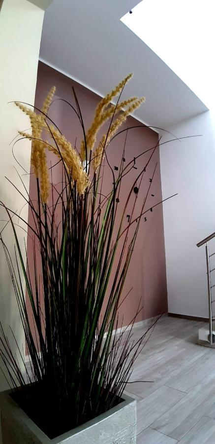 B&B Filieri Санта-Мария-аль-Баньо Экстерьер фото